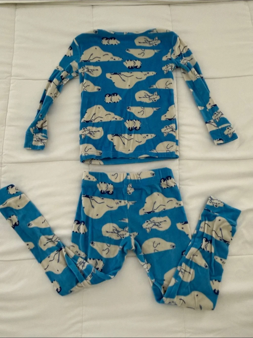 Cat & Jack two piece